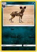 Wild dog