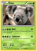 Koala