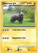 briard tout