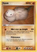 Furetti