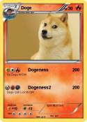 Doge