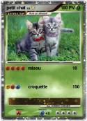 petit chat