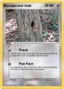 Woodpecker hole