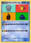 Elephant Fish