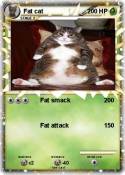 Fat cat