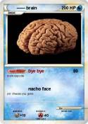 brain