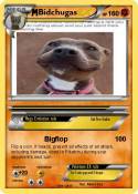 Bidchugas