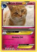 Cute Kitten