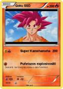 Goku SSD