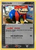 mario koala