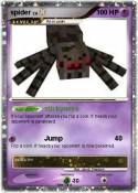 spider
