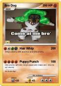 Bro Dog