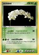 orchidest
