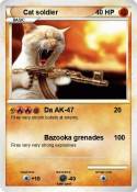 Cat soldier