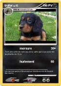 trufor