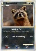 Raccoon Boi