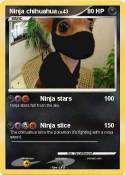 Ninja chihuahua