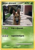 berger allemand