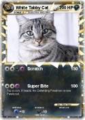 White Tabby Cat