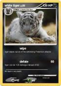 white tiger