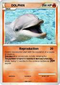 DOLPHIN