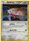 ghost dog