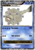 Elder guardian