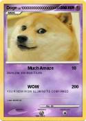 Doge