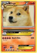 Doge