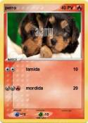 perro