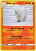 polar bear