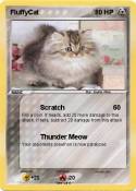FluffyCat