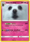 Gabe the Dog