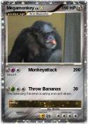 Megamonkey