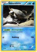 Samuraiturtle