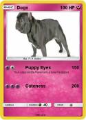 Dogs