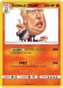 DONALD TRUMP