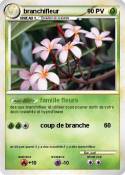 branchifleur