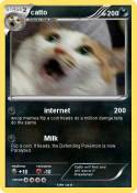 catto