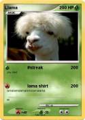 Llama