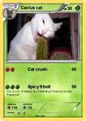 Cactus cat