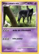 dogo canario