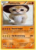 Fighting Kitty