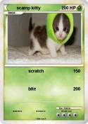 scamp kitty