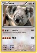 Koala
