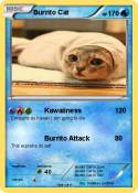 Burrito Cat