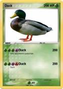 Duck