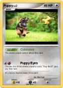 Puppy