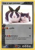 chat et lapin