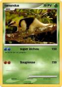 tamandua